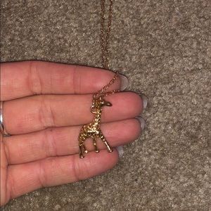 J. Crew Long Necklace